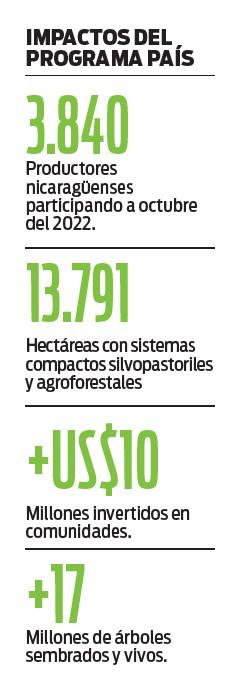 Crece exitoso programa de reforestación en Nicaragua Crece exitoso programa de reforestación en Nicaragua