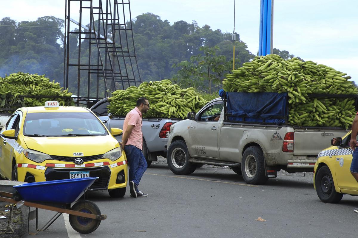 <i>Fotografía archivo de vehículos cargados de bananos en medio del bloqueo de una carretera, en Changuinola, provincia caribeña de Bocas del Toro (Panamá). EFE/ Diubanes Robles</i> <i>Fotografía archivo de vehículos cargados de bananos en medio del bloqueo de una carretera, en Changuinola, provincia caribeña de Bocas del Toro (Panamá). EFE/ Diubanes Robles</i>
