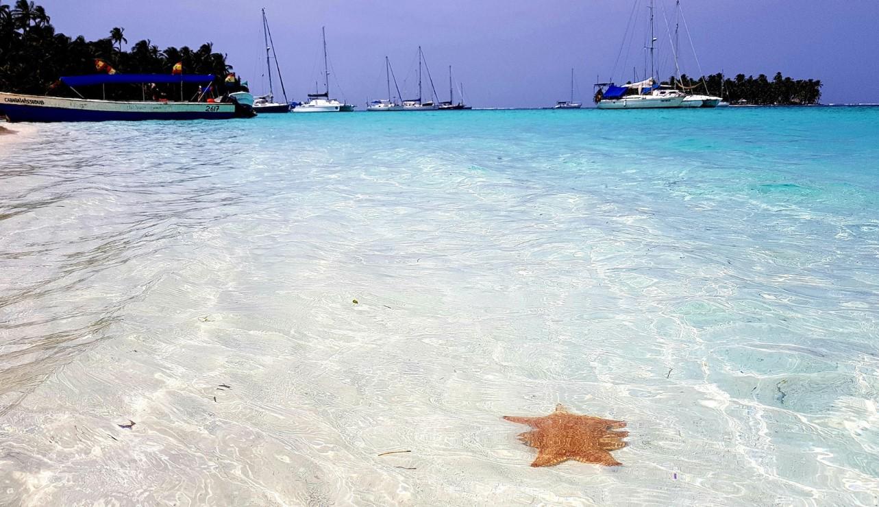 <i>Starfish, Panamá. FOTO beachatlas.com</i>